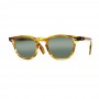 James Dean sunglasses Universal Optical_Mansfield Square crystal honey green lens