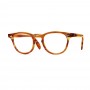 James Dean eyeglasses Universal Optical Mansfield Square demi amber